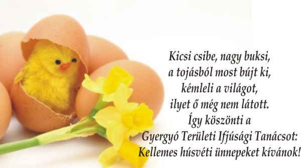 csibe gytit2
